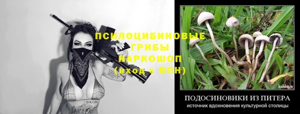 дмт Баксан