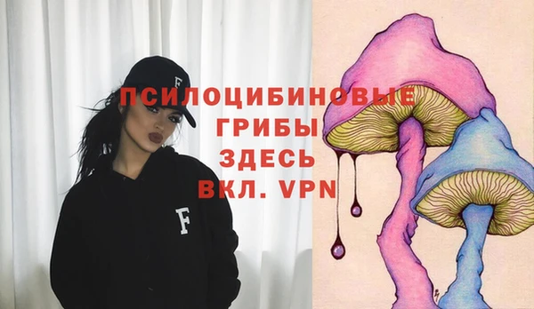 apvp Балабаново