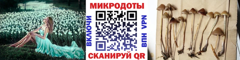 Галлюциногенные грибы MAGIC MUSHROOMS  где купить   Кыштым 